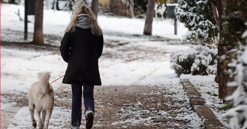 Ισχυρή σύσταση στον ιδιωτικό τομέα από την Πολιτική Προστασία