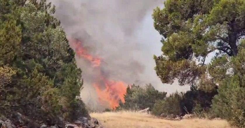 Άνοιξε η πλατφόρμα για την αποζημίωση 534 ευρώ στους πυρόπληκτους