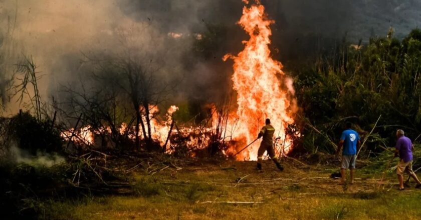 Επιπλέον χρηματοδότηση 1,3 εκατ. ευρώ στους δήμους της Αττικής για μάζεμα ξερών χόρτων