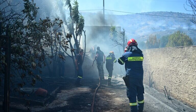 Δήμος Διονύσου: Ενημέρωση για την πυρκαγιά στη Σταμάτα